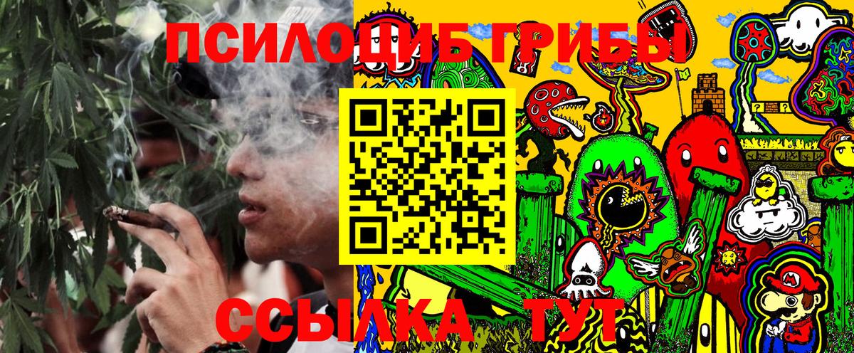 Псилоцибиновые грибы MAGIC MUSHROOMS  Вход с VPN  Псилоцибиновые грибы GOLDEN TEACHER  сколько стоит  Белореченск 